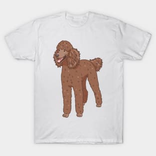 Chocolate Standard Poodle T-Shirt